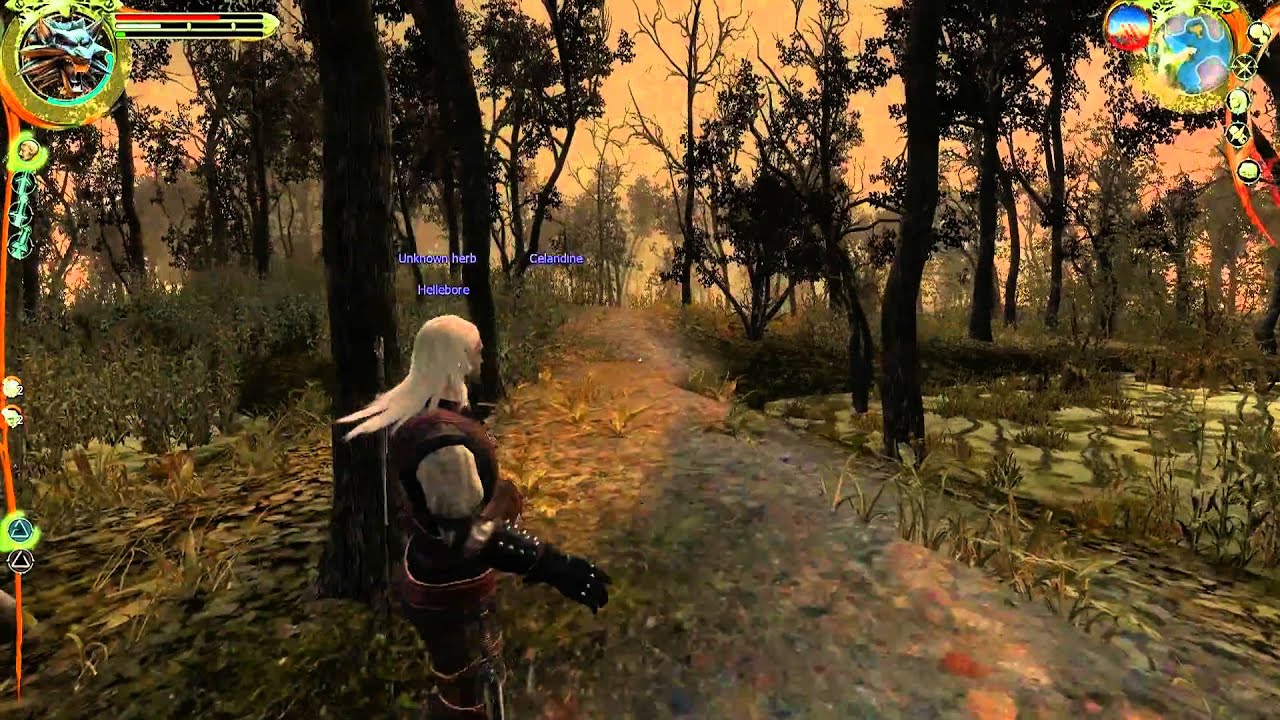 witcher 2 enhanced edition guide